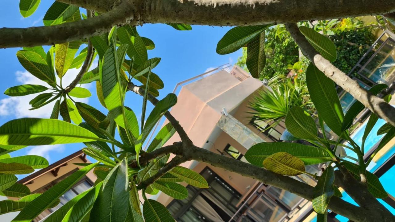Villa Centre Гран-Бе Екстер'єр фото